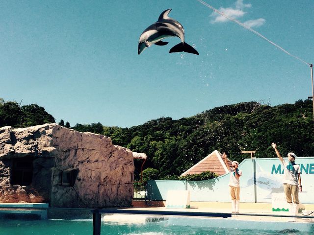 ���c�C��������