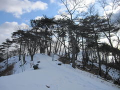 よっちんさんの亀山への投稿写真1