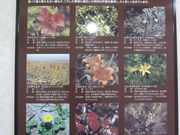 񂳂̑哇̒ւ̓eʐ^3