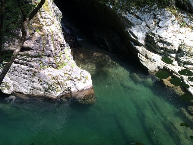 �G�������h�O���[���œ����ʂ��Ă܂��B�m���u���[�̌��_�ł��ˁB_�ʉ͌k