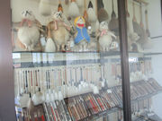 ҂̌sKMÂ莑ق̓eʐ^1