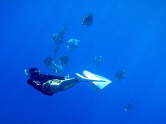 makanȋf̊wZ@}ւ̓eʐ^1