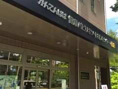 ����Ă�ςσK�[�f���̎ʐ^1