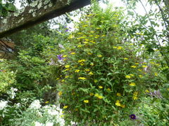 pekoȍ oN CObV K[fւ̓eʐ^1