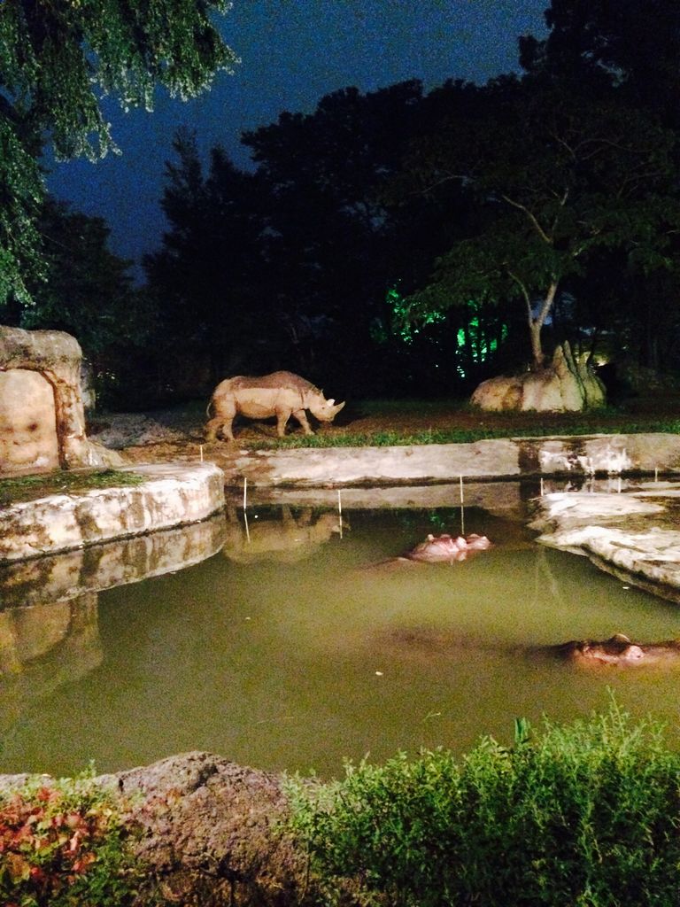 仙台市八木山動物公園