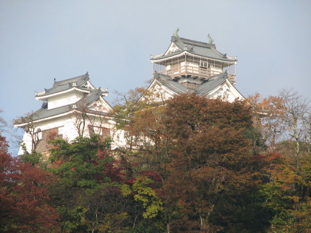 ̎ʐ^玞Ԍo߂ĎBeAUR[XƂĂLł_zO