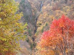 ゆみぶさんの松川渓谷の投稿写真1