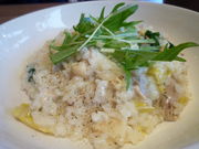 [W[̃]beA KN  Risotteria GAKU hiragishi̓eʐ^1