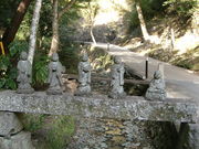 TV̌ܕSiÉlsj̓eʐ^1