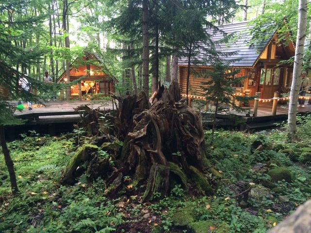 �V���b�s���O���[�h�u�j���O���e���X�v