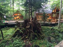 mint̃VbsO[hujOeXvւ̓eʐ^1