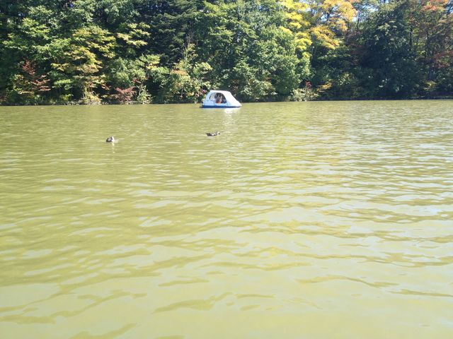 `bg悤ȁcB
yȂdȂ̂ȁH_y^AZ(St)