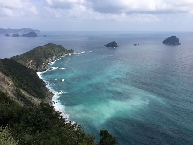 �e�c��������̋�̌����̓��e�ʐ^1