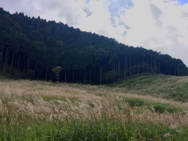 ���n�����肷�����ł����I�I_��Ό�����