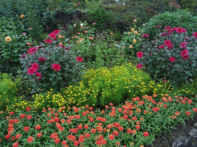イングリッシュガーデンの花がきれいに咲いています_ラ・カスタ ナチュラル ヒーリング ガーデン