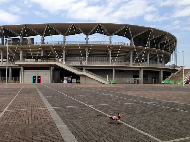 �t�N�_�d�q�A���[�i�i�t�N�A���j