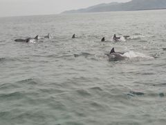 ߂񂳂̓쓇CJEHb`Oւ̓eʐ^1