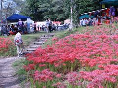 羽黒山公園 アクセス 営業時間 料金情報 じゃらんnet