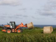 Ƃ񂳂̏@Ju˓W]xe{݂̓eʐ^3