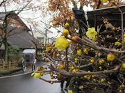 kokoro̐l͎Ԃтz@̓eʐ^1