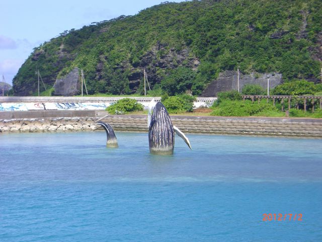 񂳂̌cǊԏӂ̓eʐ^1