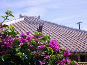 񂳂̒|x̐ԊƂ̓eʐ^1