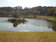 Ir̒ډ͐ I[gLv̓eʐ^3