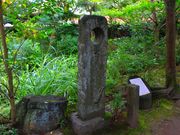 ���p��7777777����̔m�ԋ��(������2)�̓��e�ʐ^1