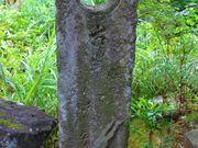 ���p��7777777����̔m�ԋ��(������2)�̓��e�ʐ^3