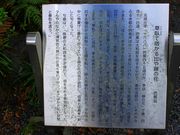 ���p��7777777����̔m�ԋ��(�i�ӂ�����)�̓��e�ʐ^2