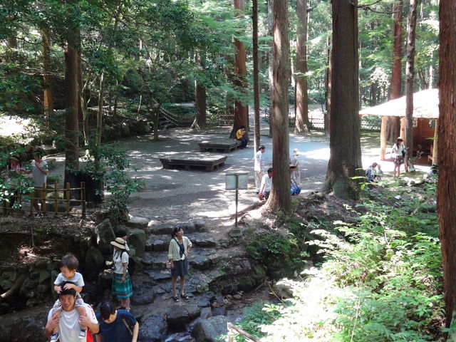 �ዷ�Z����������_�ዷ�Z����������