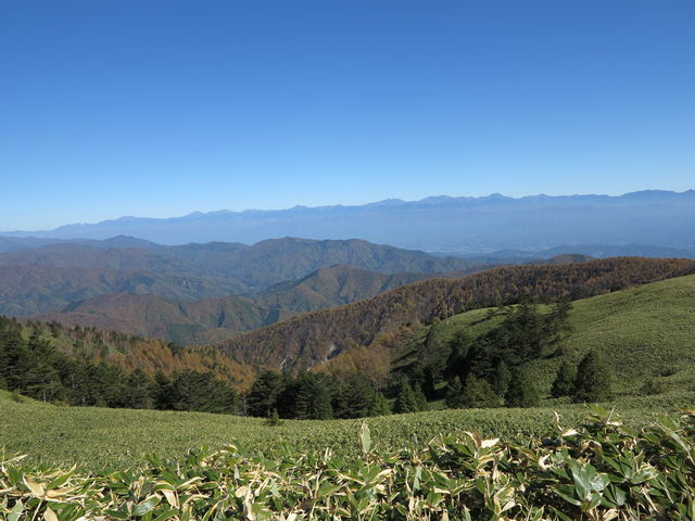 ������悤�Ȑ�_�x�m���䍂���i�򕌌����Ð�s�j