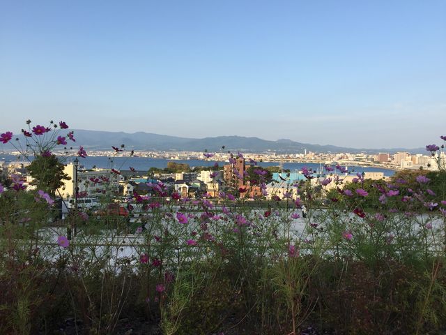 �����ً���