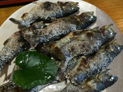 `̏Í]tBbVOp[N̓eʐ^1