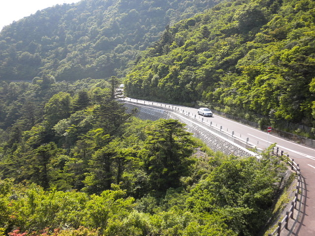 �m�c�����W�]��