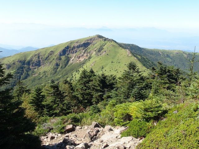 �l���R�����獪�q�x�������낷_�l���R