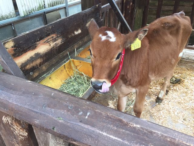 ƂĂlȂqłB_OW[W[q@~NH[@