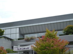 s`YƁ@ӂꂠفixƒj̎ʐ^1