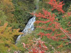ラリマーさんの日本の滝100選「七滝」の投稿写真2