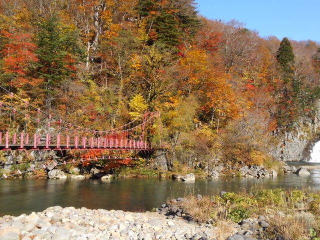 10ɍsė܂
ƂĂYȂƂłBx́AV΂̍ɍsłB_@̂̑