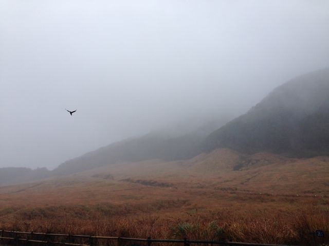 �X�X�L�͌͂�Ă܂�����;^_^A_��Ό�����