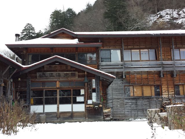 11���Ȃ̂ɐႪ�ς����Ă܂��B_�����򉷐�i���S�{����)