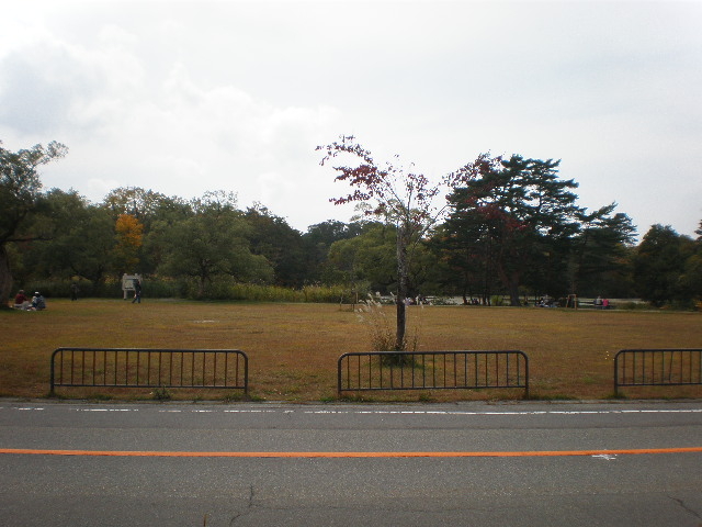 QΔȂ̎ŐBVC̗ǂ́AsNjbNCŁAٓLĐHׂ悤B_QExɑTH