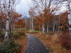 �J���`��������̈�m�����n�ւ̓��e�ʐ^1