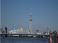 しのぶさんの清洲橋への投稿写真1