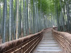 あだし野念仏寺の写真一覧 - じゃらんnet あだし野念仏寺の写真一覧 - じゃらんnet