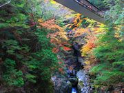 p7777777݂̂炢kJ̍gt̓eʐ^2