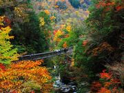 p7777777݂̂炢kJ̍gt̓eʐ^4