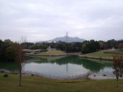 jibőTRTVCp[N̓eʐ^1