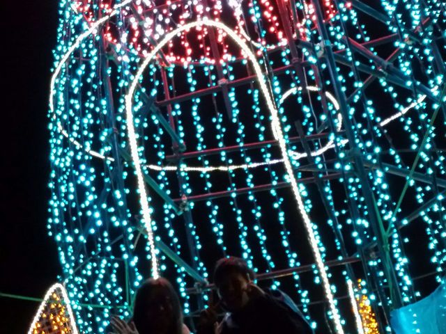 �ق�ˁ�_�����h�C�c��